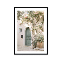 Bougainvillea