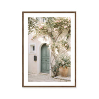 Bougainvillea