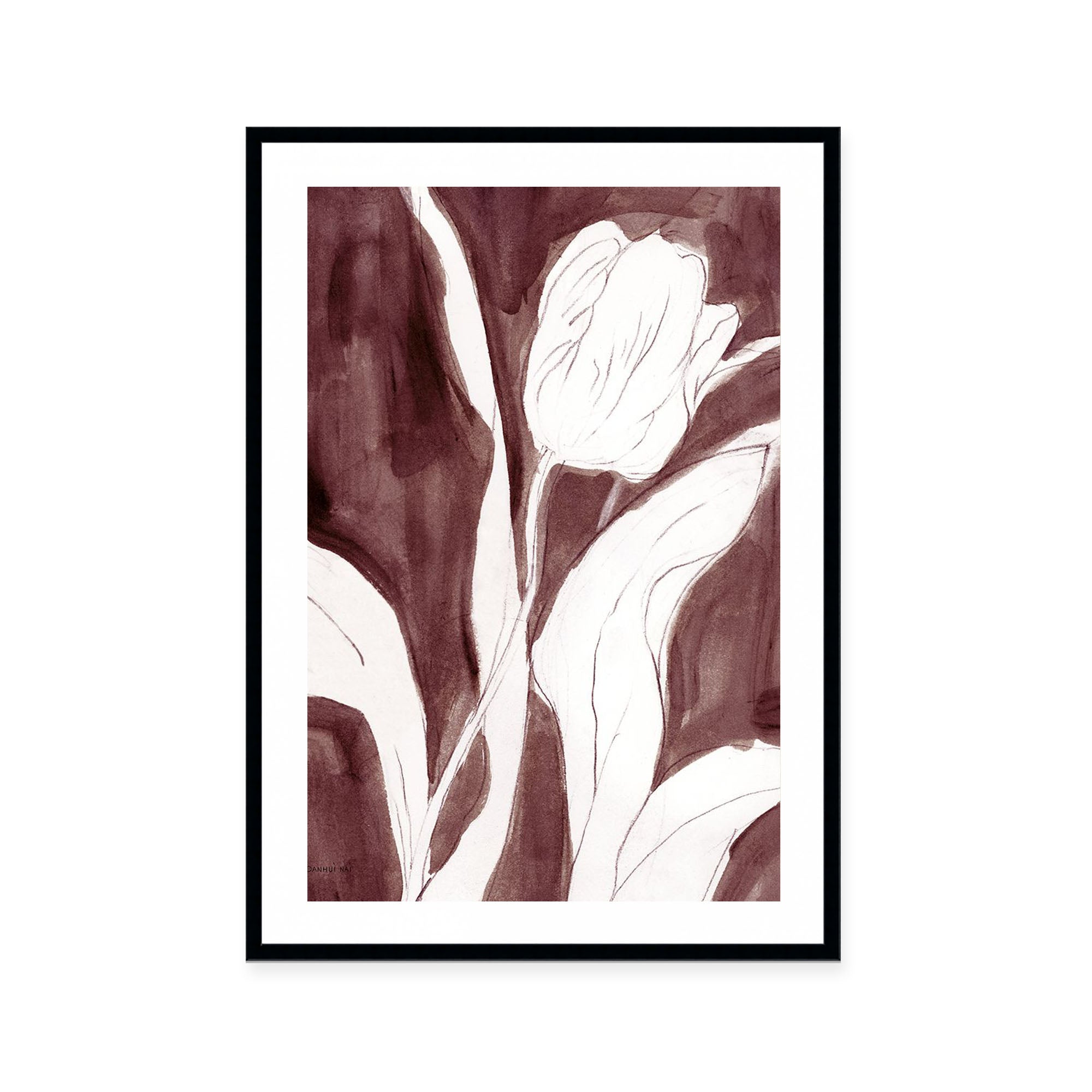 Burgundy Tulip II