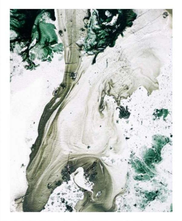 Bushland | Limited Edition Art Print | David Bottrell
