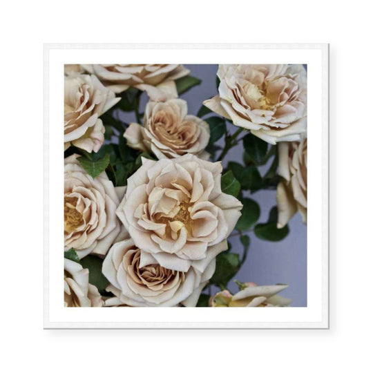 Cecilia | Katie Clulow