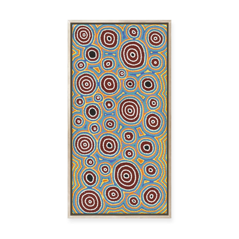 Janganpa Jukurrpa (Brush-tail  Possum Dreaming) Mawurrji No.2 | Framed Canvas Print