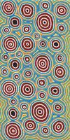 Janganpa Jukurrpa (Brush-tail  Possum Dreaming) Mawurrji No.2 | Framed Canvas Print