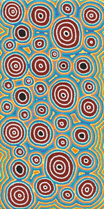 Janganpa Jukurrpa (Brush-tail  Possum Dreaming) Mawurrji No.2 | Framed Canvas Print