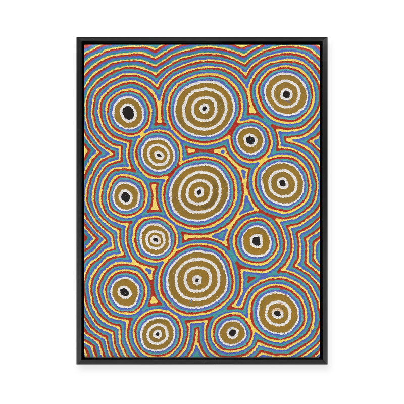 Janganpa Jukurrpa (Brush-tail  Possum Dreaming) Mawurrji No.3 | Framed Canvas Print