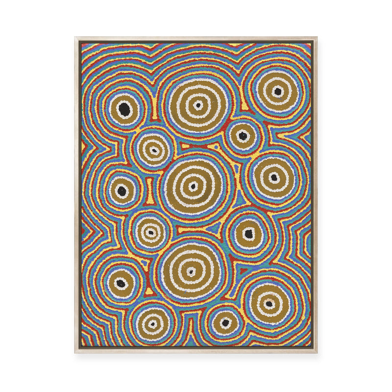 Janganpa Jukurrpa (Brush-tail  Possum Dreaming) Mawurrji No.3 | Framed Canvas Print