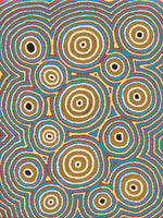 Janganpa Jukurrpa (Brush-tail  Possum Dreaming) Mawurrji No.3