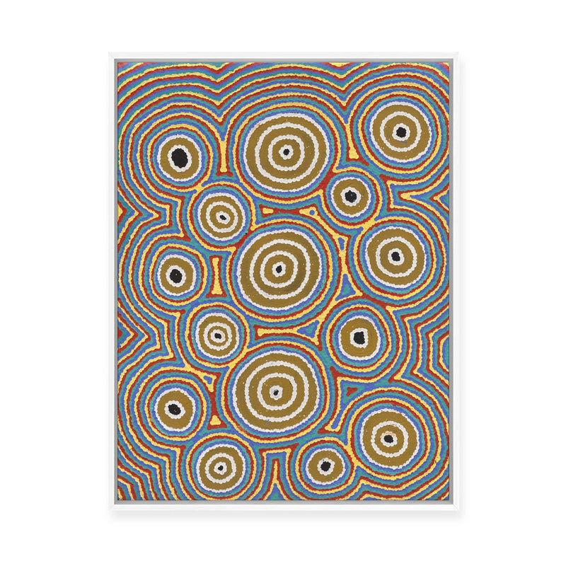 Janganpa Jukurrpa (Brush-tail  Possum Dreaming) Mawurrji No.3 | Framed Canvas Print