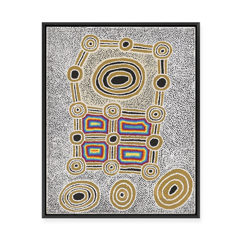 Janganpa Jukurrpa (Brush-tail  Possum Dreaming) Mawurrji No.4 | Framed Canvas Print