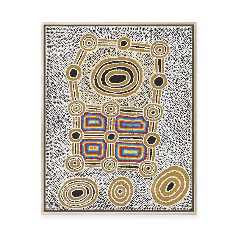 Janganpa Jukurrpa (Brush-tail  Possum Dreaming) Mawurrji No.4 | Framed Canvas Print