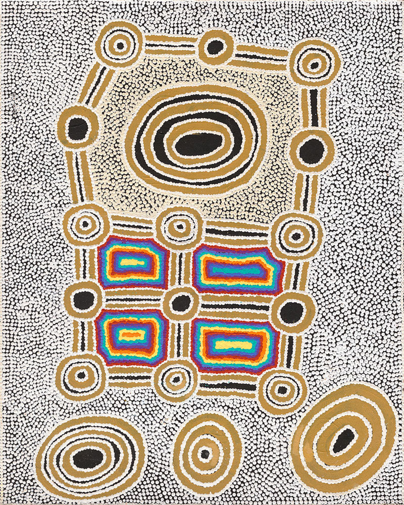 Janganpa Jukurrpa (Brush-tail  Possum Dreaming) Mawurrji No.4