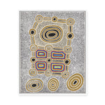 Janganpa Jukurrpa (Brush-tail  Possum Dreaming) Mawurrji No.4 | Framed Canvas Print