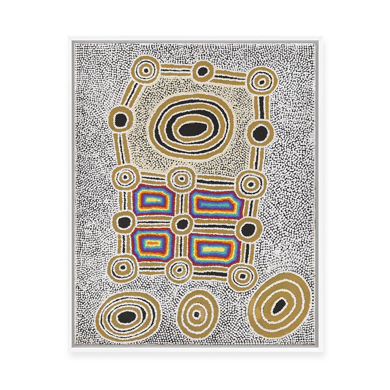 Janganpa Jukurrpa (Brush-tail  Possum Dreaming) Mawurrji No.4 | Framed Canvas Print
