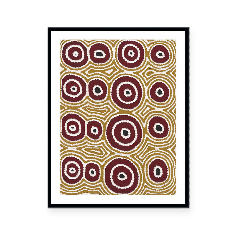 Janganpa Jukurrpa (Brush-tail  Possum Dreaming) Mawurrji No.5