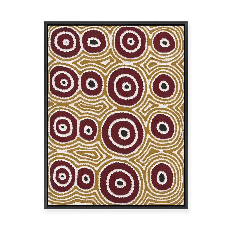 Janganpa Jukurrpa (Brush-tail  Possum Dreaming) Mawurrji No.5 | Framed Canvas Print