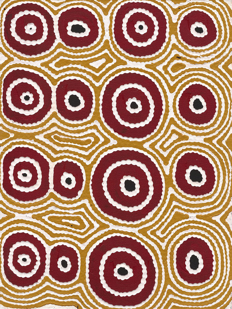Janganpa Jukurrpa (Brush-tail  Possum Dreaming) Mawurrji No.5