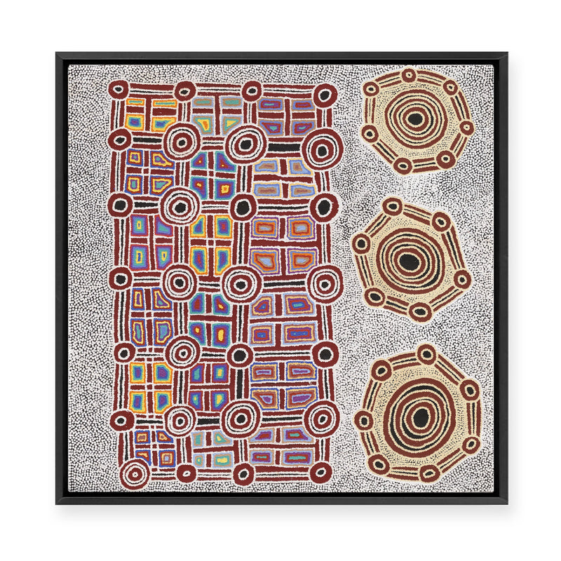 Janganpa Jukurrpa (Brush-tail  Possum Dreaming) Mawurrji No.1 | Framed Canvas Print