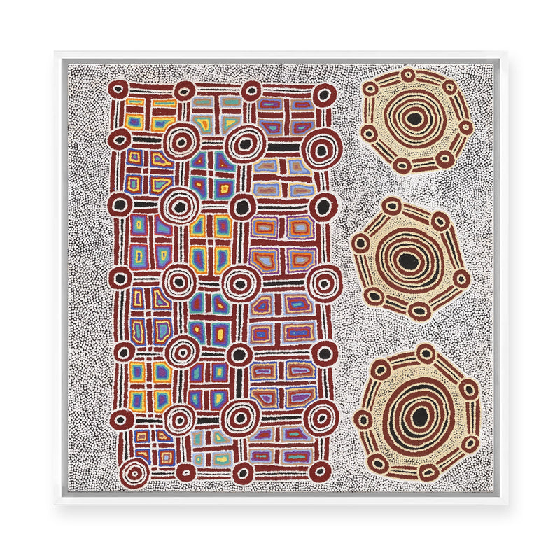 Janganpa Jukurrpa (Brush-tail  Possum Dreaming) Mawurrji No.1 | Framed Canvas Print