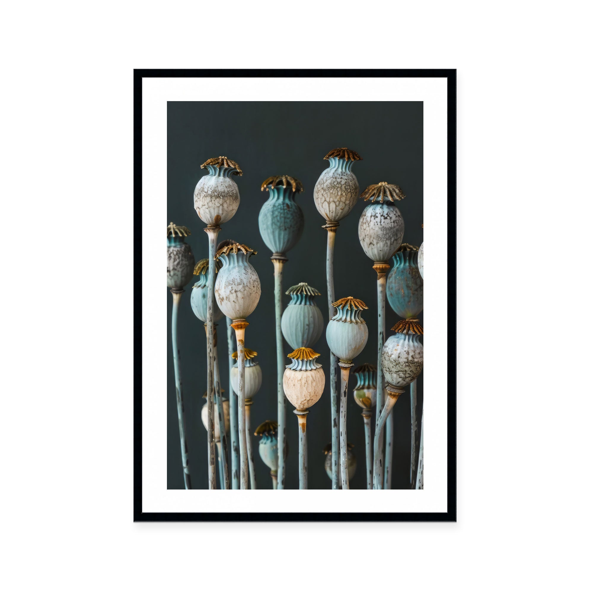 Cerulean Seed Pods