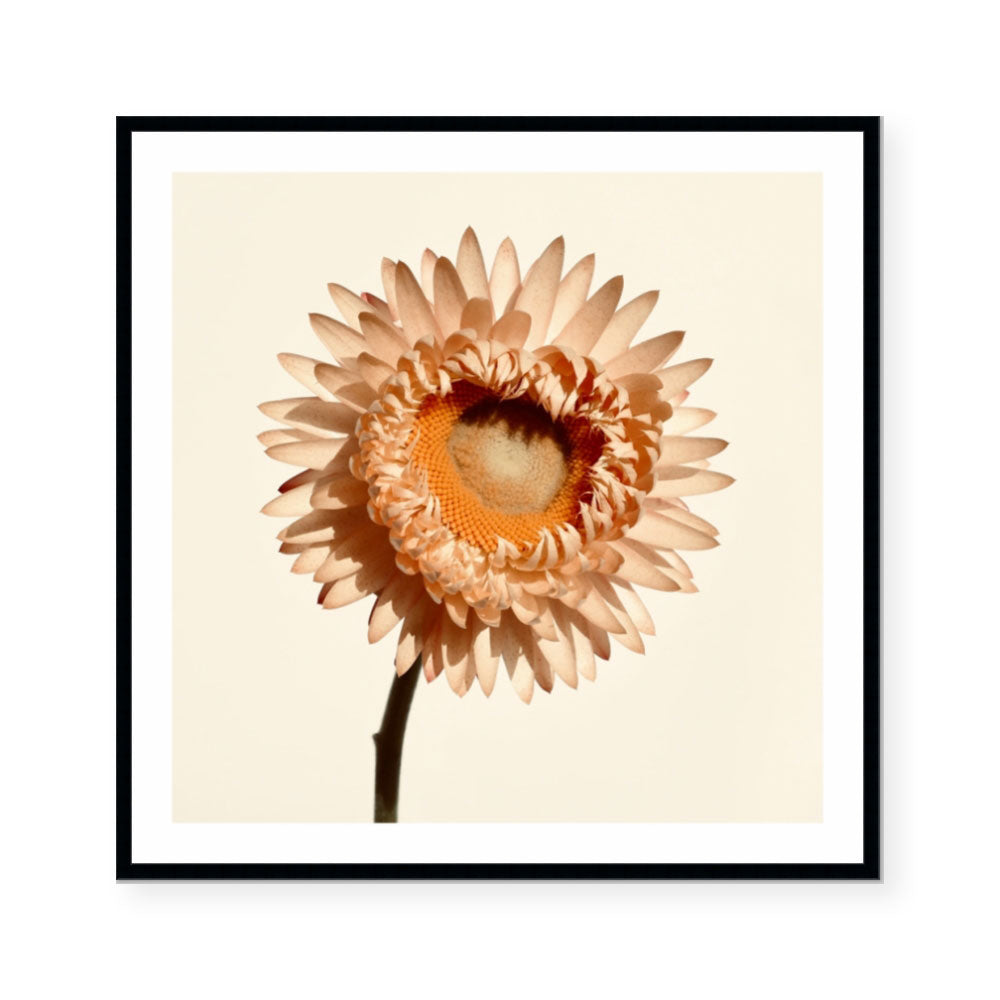 Chloe | Katie Clulow