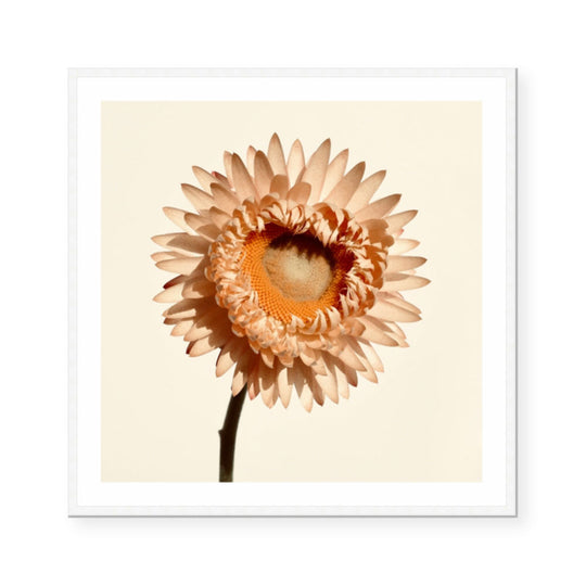 Chloe | Katie Clulow