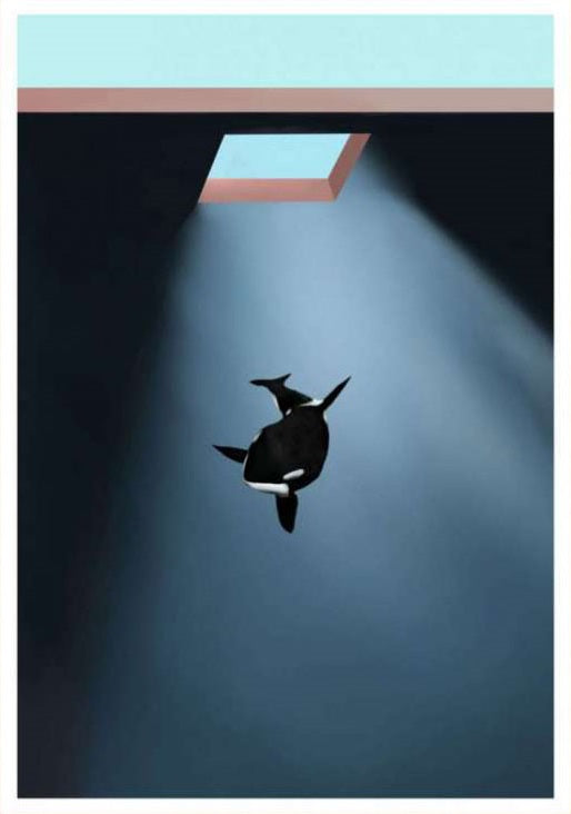 Chosen | Fine Art Print | Peytil