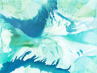 Coral I