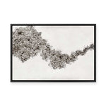 Cosmic Dust | Framed Canvas