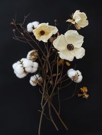 Cotton Flower I