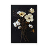 Cotton Flower I | Framed Canvas