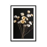 Cotton Flower III