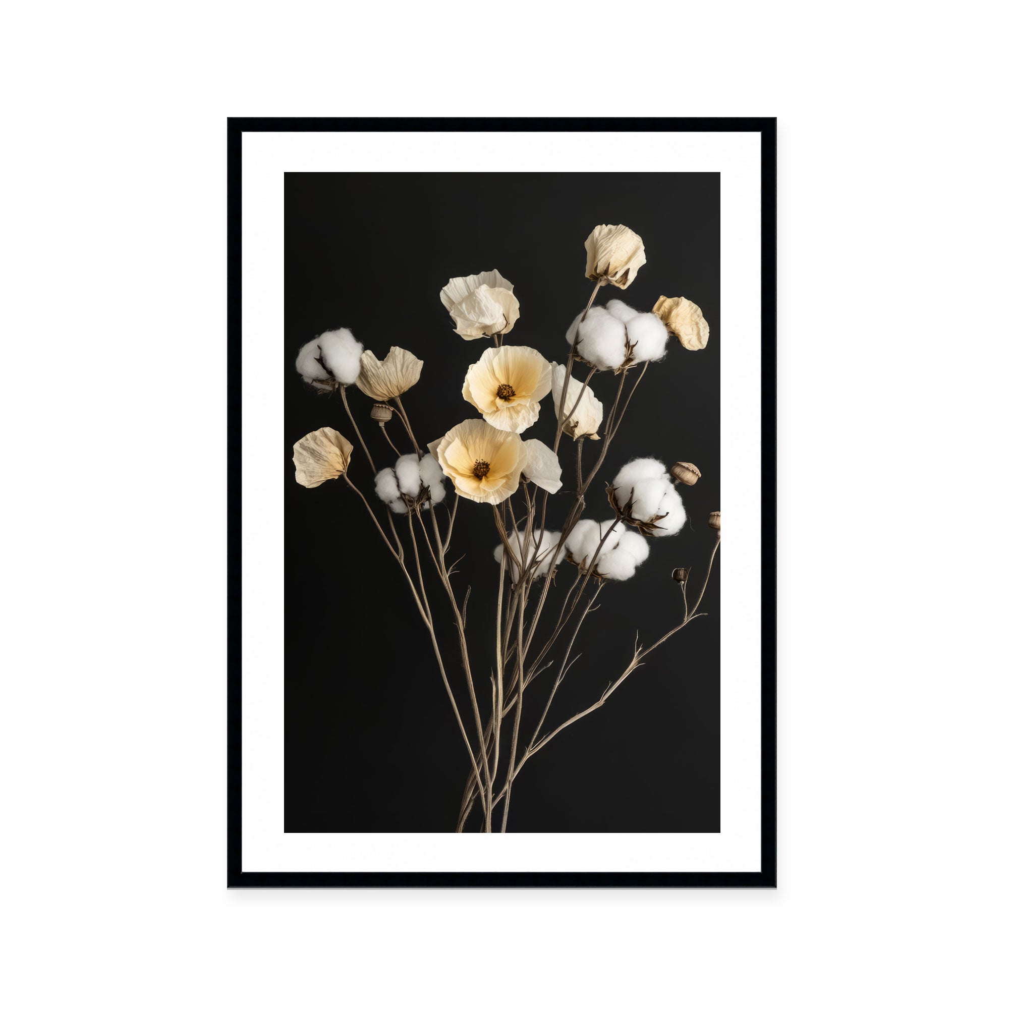 Cotton Flower III