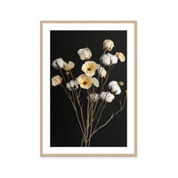 Cotton Flower III