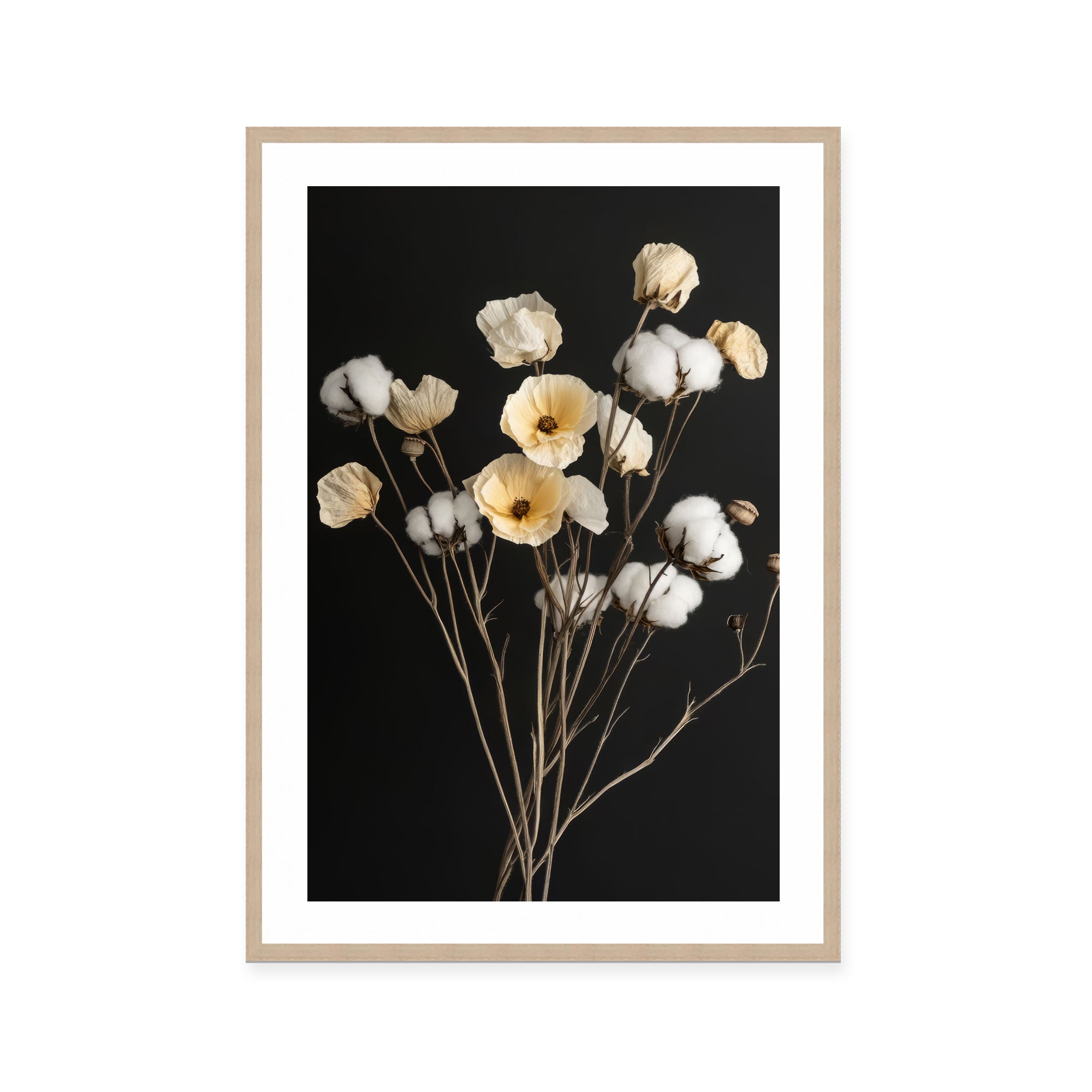 Cotton Flower III