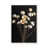 Cotton Flower III | Framed Canvas