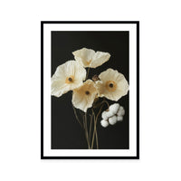 Cotton Flower II