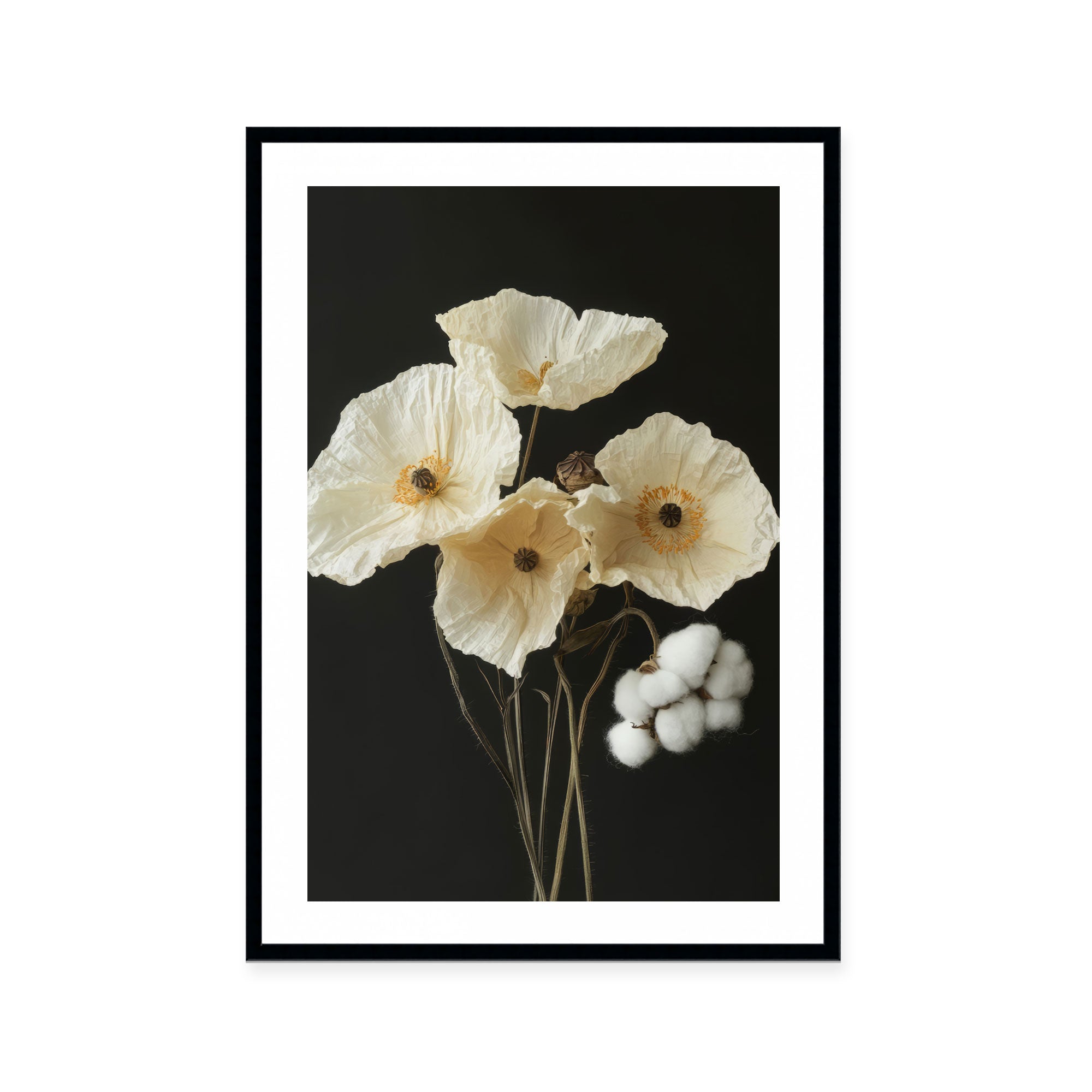 Cotton Flower II