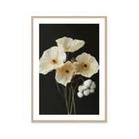 Cotton Flower II