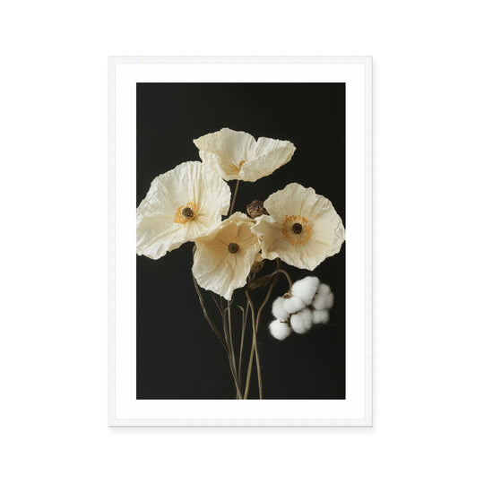 Cotton Flower II
