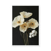 Cotton Flower II | Framed Canvas