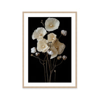 Cotton Flower IV