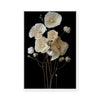 Cotton Flower IV | Framed Canvas