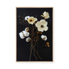 Cotton Flower I | Framed Canvas