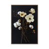 Cotton Flower I | Framed Canvas