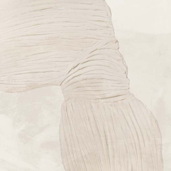 Curved Lines in Subtle Harmony II