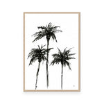 Dark Palms I