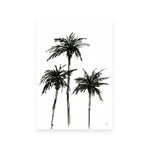 Dark Palms I