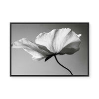 Soft Petal Dance | Framed Canvas