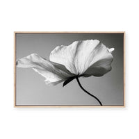 Soft Petal Dance | Framed Canvas