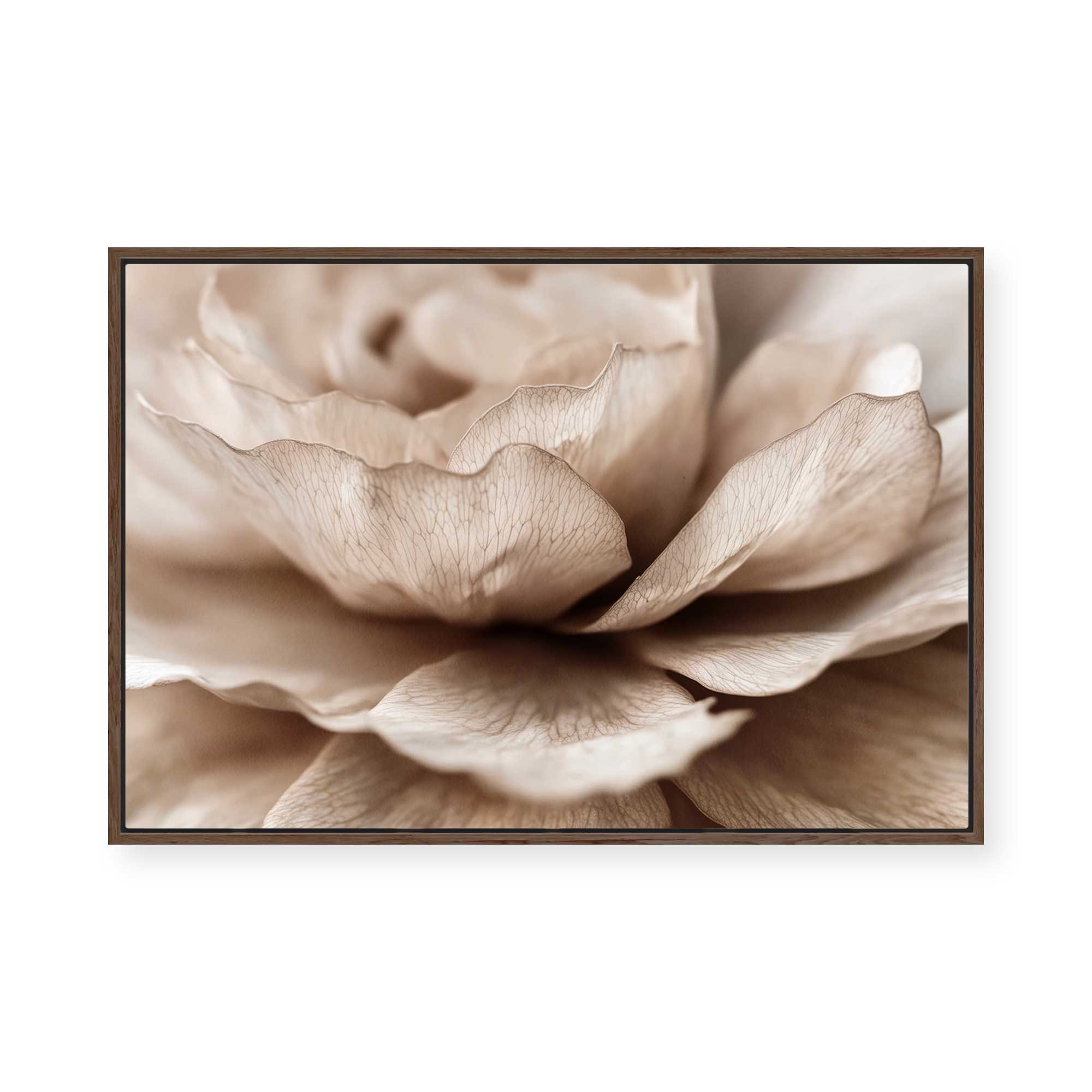 Delicate Petal Dance | Framed Canvas